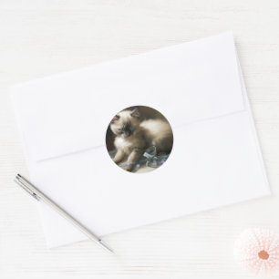 Sticker Rond Tangle de ruban Siamese Kitten