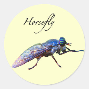 Sticker Rond Taon