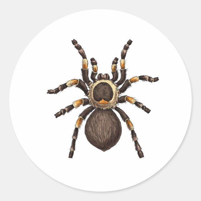 Sticker Rond Tarantula (Devant)