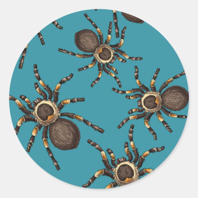Sticker Rond Tarantula sur bleu (Devant)