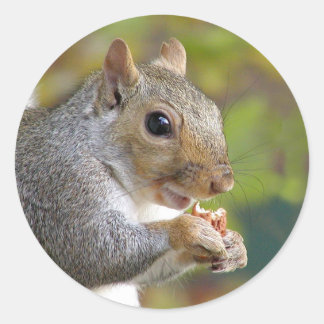 Sticker Rond T'as des noix ?