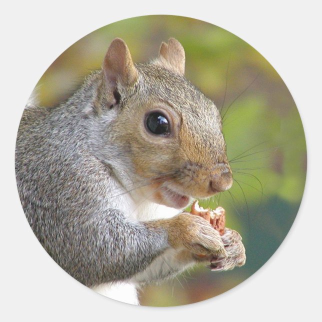Sticker Rond T'as des noix ? (Devant)