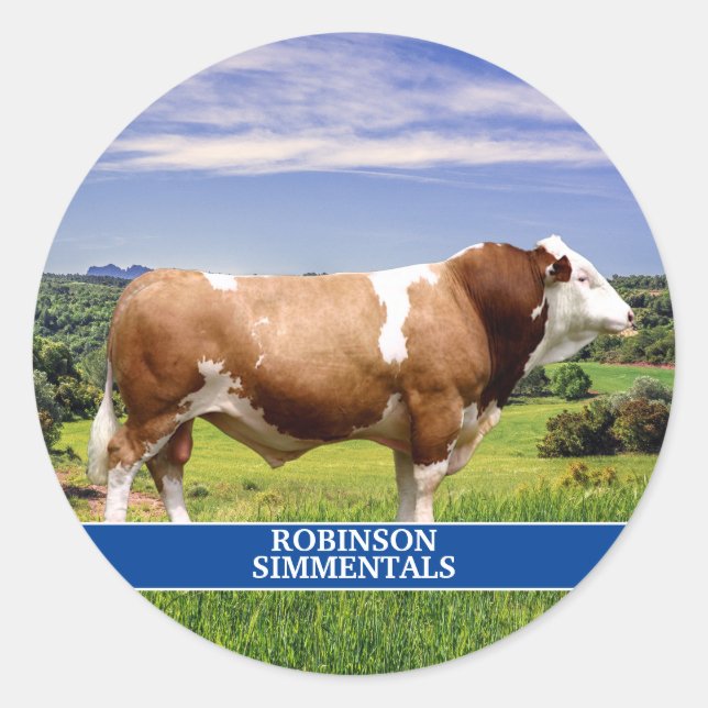 Sticker Rond Taureau Simmental dans le pâturage (Devant)