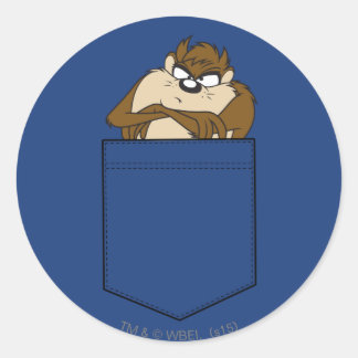 Sticker Rond TAZ™ Dans Une Poche