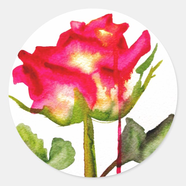 Sticker Rond Tea hybride Rose aquarelle moderne fleurie art (Devant)