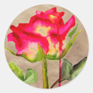 Sticker Rond Tea hybride Rose aquarelle moderne fleurie art