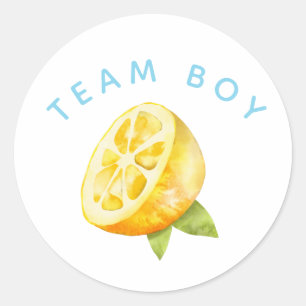 Sticker Rond Team Boy Gender Revevela Party Vote Lemon