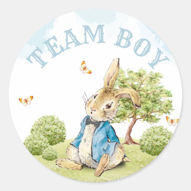 Sticker Rond Team Boy Genre Reveillez Voter Peter Le Lapin (Devant)