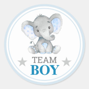 Sticker Rond Team Boy I Vote Baby shower de révélation de genre