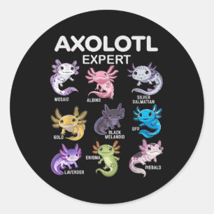 Sticker Rond Tee Axolotl Mignonne Pour Garçons &amp; Filles Ou 