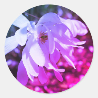 Sticker Rond Teint blanc Magnolia