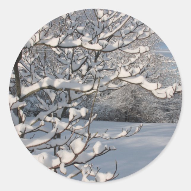 Sticker Rond Tempête d'hiver (Devant)