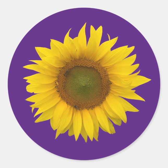 Sticker Rond Tendance Tournesol mou Floral pourpre (Devant)