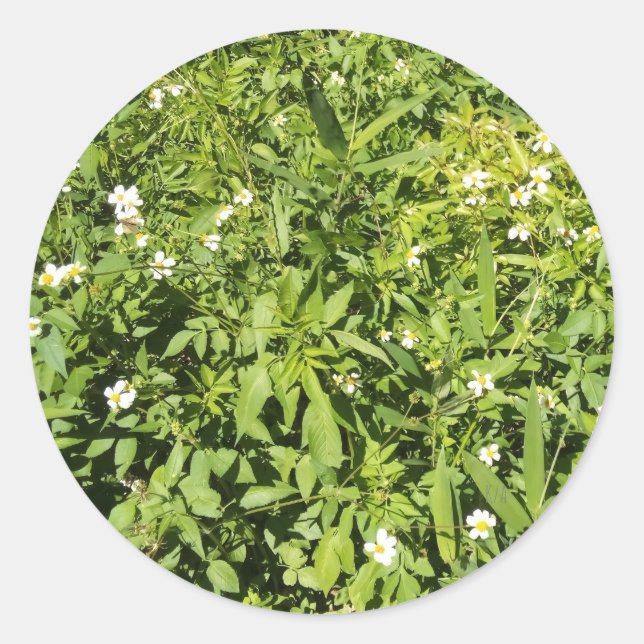 Sticker Rond Terrain verdoyant avec fleurs (Devant)