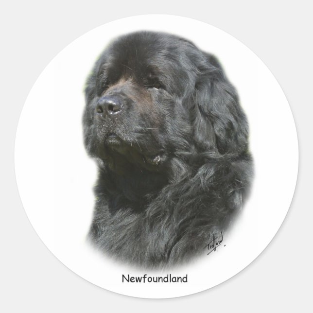 Sticker Rond Terre (Devant)