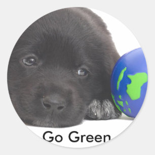 Sticker Rond Terre-Neuve Chiot Avec Terre