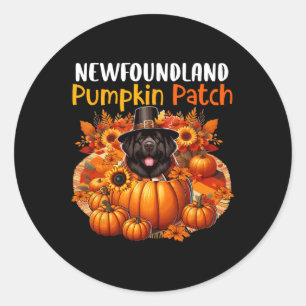 Sticker Rond Terre-Neuve Maigre Patch Thanksgiving Citrouilles 