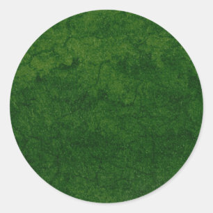 Sticker Rond Terre verte