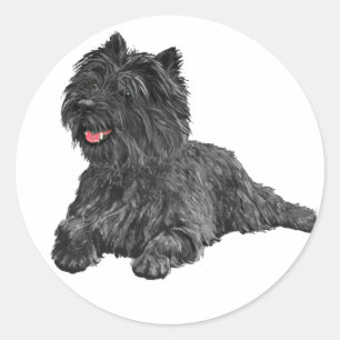 Sticker Rond Térrier Black Cairn