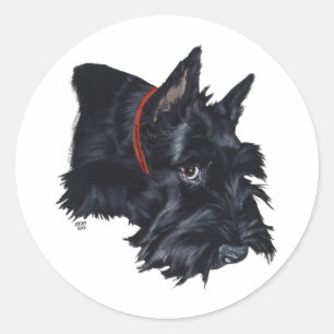 Sticker Rond Terrier Écossais au repos