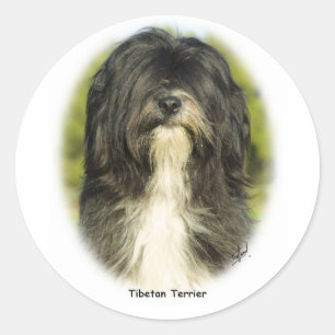 Sticker Rond Terrier tibétain