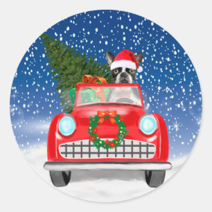 Sticker Rond Tervueren Boston chien conduisant une voiture dans