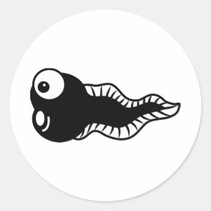 Sticker Rond Têtard