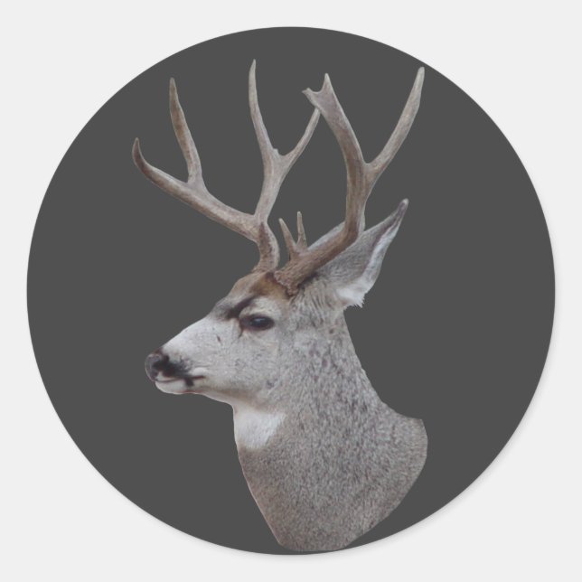 Sticker Rond Tête de cerf mâle D27 (Devant)