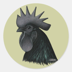 Sticker Rond Tête de coq d'Ayam Cemani
