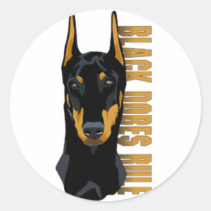 Sticker Rond Tête de dobermann, règle noire de Dobes