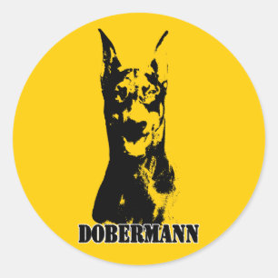 Sticker Rond Tête Dobermann
