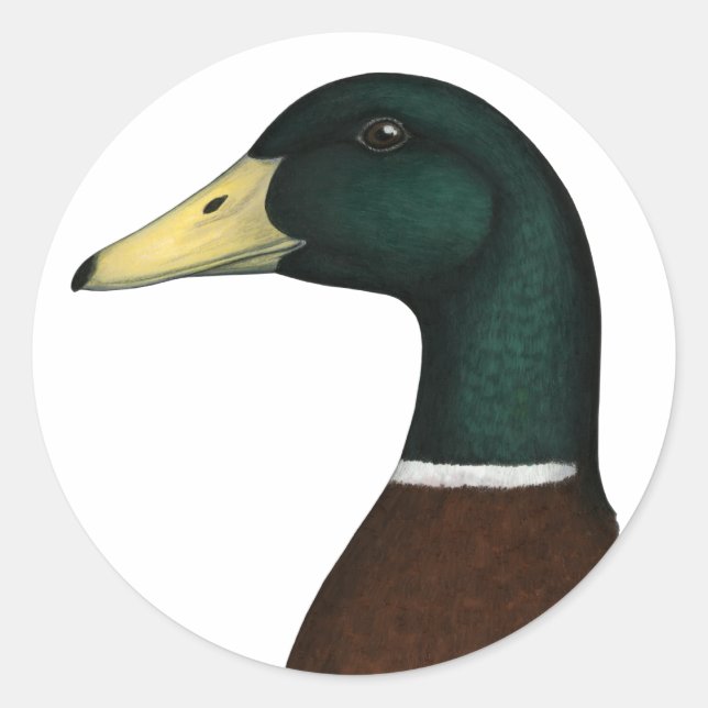 Sticker Rond Tête Mallard Drake (Devant)