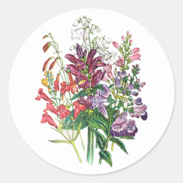 Sticker Rond Têtes et langues (Devant)