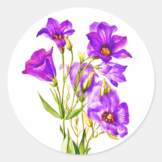 Sticker Rond Texas Bluebells Eustoma Russellianum Aquarelle (Devant)