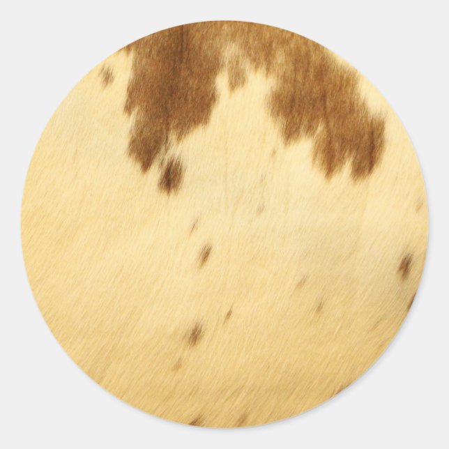 Sticker Rond Texas Longhorn Cowhorn Animal Fur Imprimer Motif (Devant)