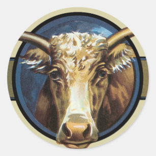 Sticker Rond Texas Steer Longhorn