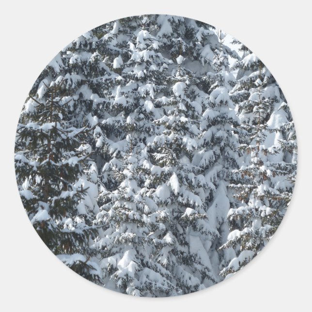 Sticker Rond Texture de l'arbre à neige (Devant)