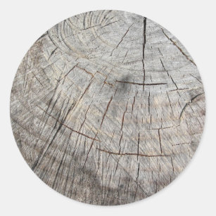 Sticker Rond Texture en bois de tronc de pin coupé