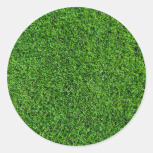 Sticker Rond Texture verte