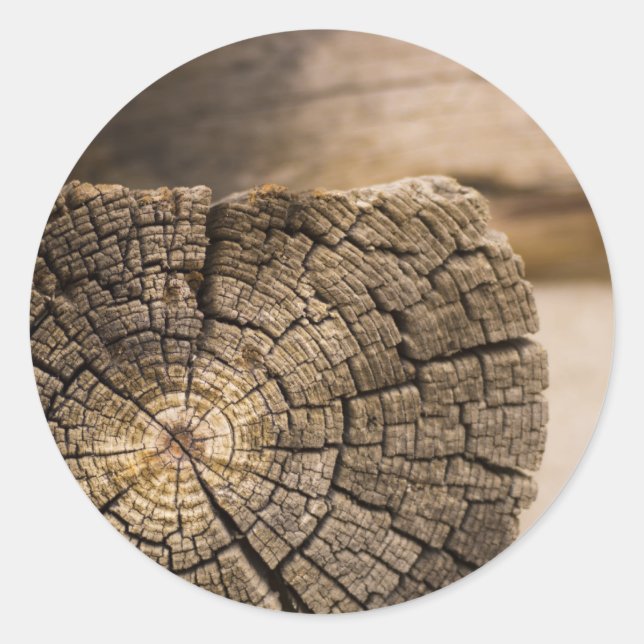 Sticker Rond Textures de vieux Cabines (Devant)