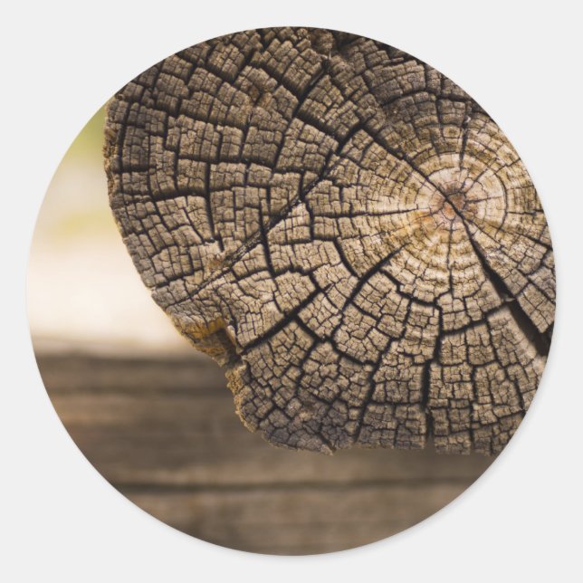 Sticker Rond Textures en bois Cabine (Devant)