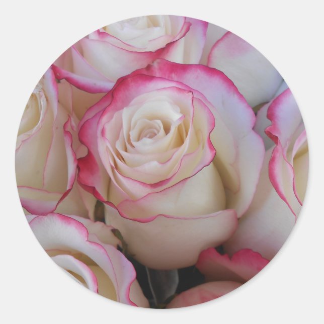 Sticker Rond Thamar (Devant)