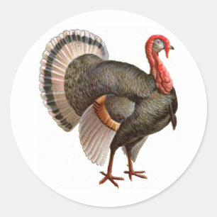 STICKER ROND THANKSGIVING TURQUIE