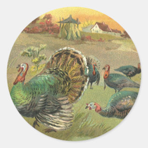 Sticker Rond Thanksgiving vintage avec des dindes et des pèleri