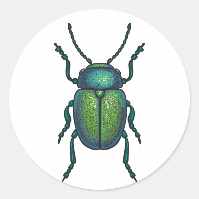 Sticker Rond The tansy beetle (Devant)