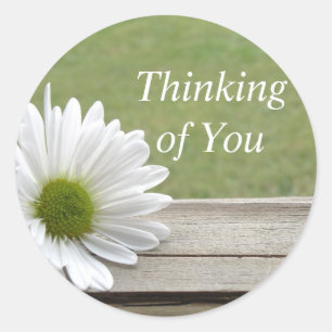 Sticker Rond Thème Daisy