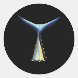 Sticker Rond Thon de thon rouge de la queue de pêche en haute m