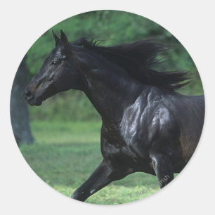 Sticker Rond Thoroughbred Running