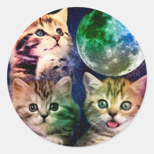 Sticker Rond Three cats and the moon