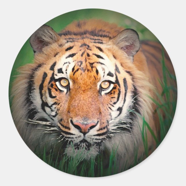 Sticker Rond Tigre (Devant)